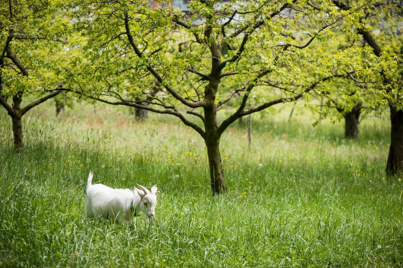 Le Domaine 호텔 Villars-Sur-Glane 외부 사진